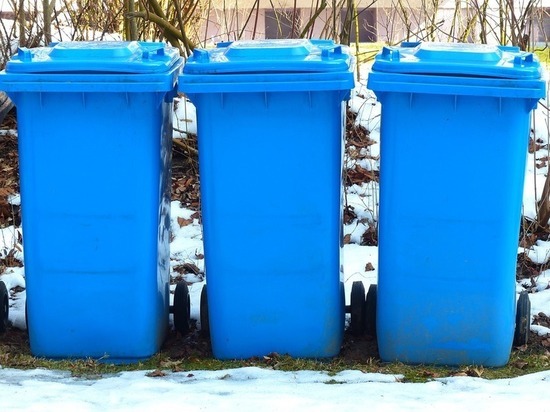 В Красноярске зафиксировали рекордно низкий спрос на вывоз мусора в новогодние праздники