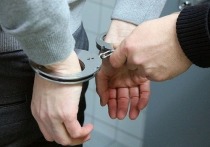 В МВД ДНР сообщили, что в Снежном задержали подозреваемого в краже крупной суммы