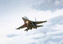 Истребители ВКС России нанесли серьезный урон ВВС Незалежной
