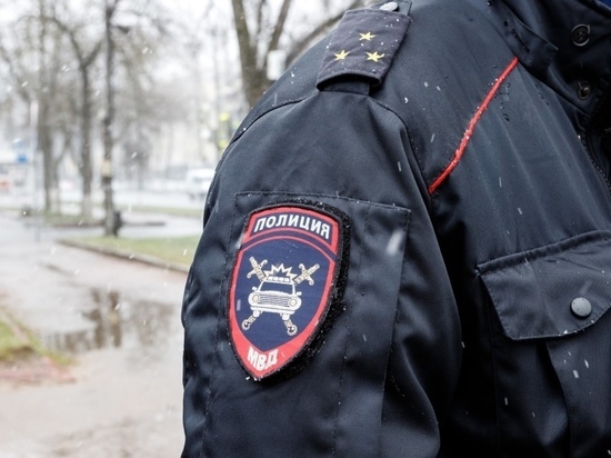 Нетрезвые водители попались дорожным полицейским в 4 районах Псковской области