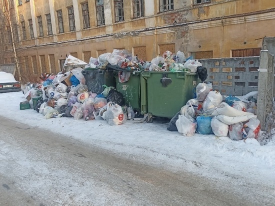 В Петрозаводске контейнеры ломятся от невывезенного мусора