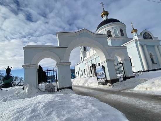 В ночь на 10 января в Рязанской области местами ожидается до -28 градусов