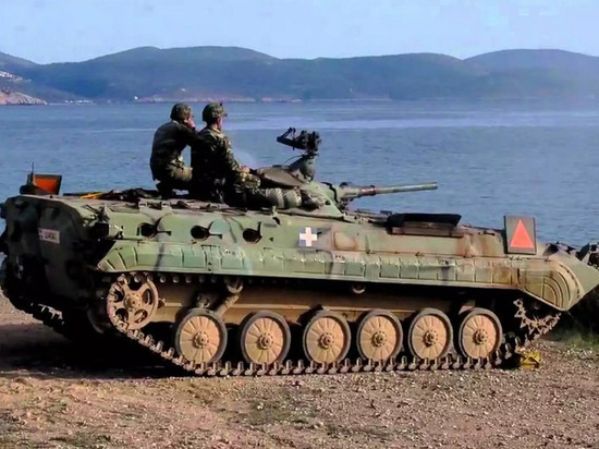 Греция и Германия обсудили поставки Киеву БМП-1