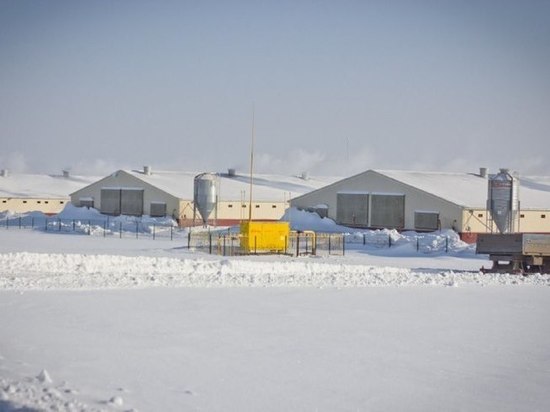 Радий Хабиров рассказал о преимуществах создания агрокластера