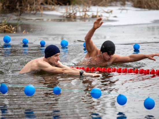 Липецкие «моржи» проплыли в ледяной воде на чемпионате по зимнему плаванию