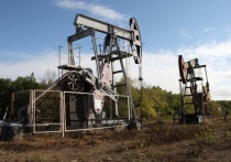 В министерстве энергетики России сообщили, что при необходимости могут принять дополнительные меры, ограничивающие дисконт на нефть до пределов, основанных на рыночных ценах