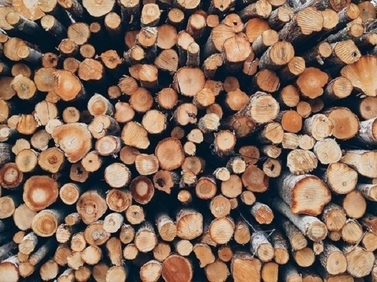 Стоимость дров в Алтайском крае выросла вдвое