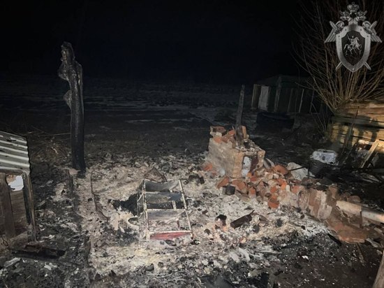 В Калининградской области выясняют обстоятельства пожара со смертельным исходом