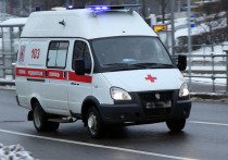 Стали известны подробности пожара в частном доме в подмосковном Егорьевске, в результате которого погиб 5-летний мальчик и 41-летняя женщина