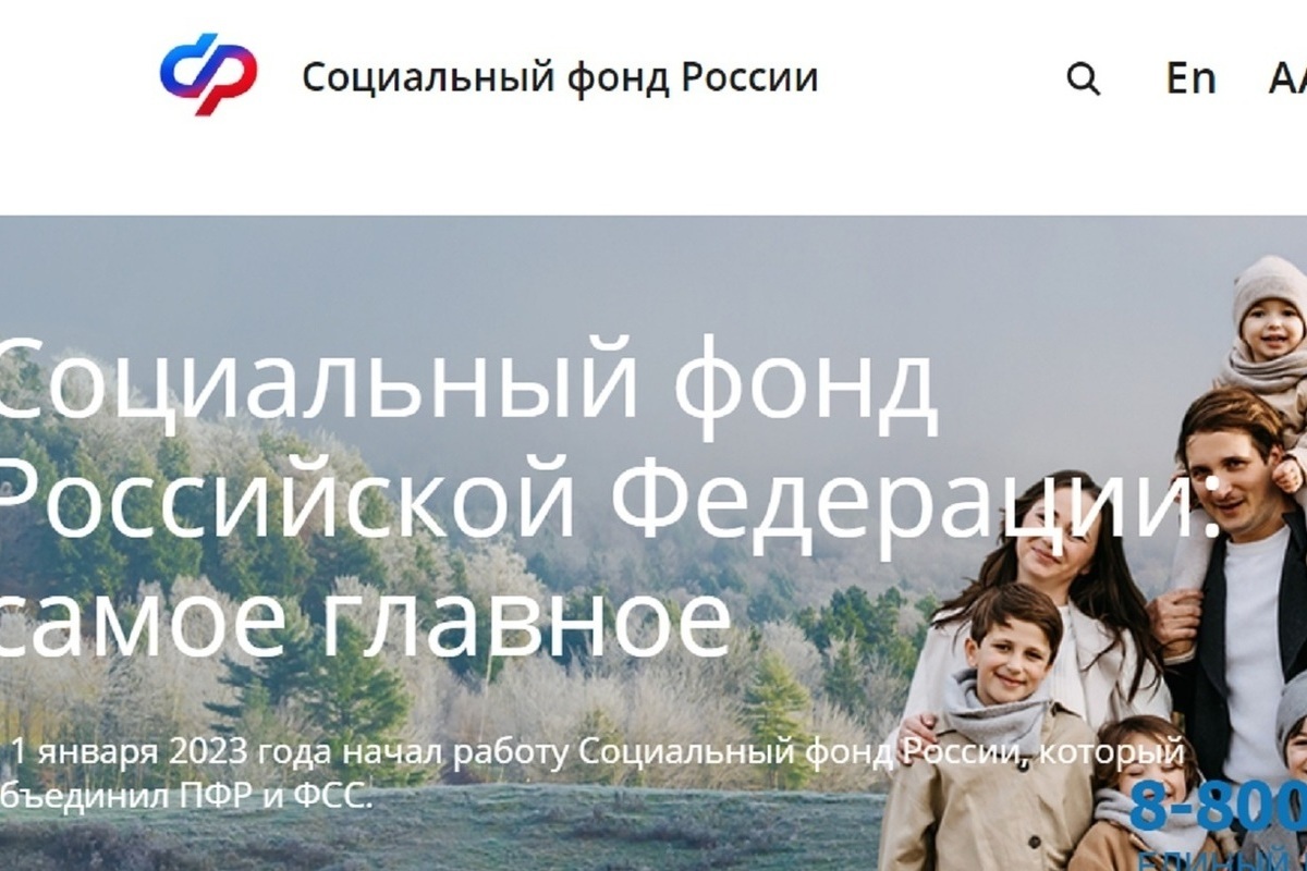 Руководителем белгородского отделения Социального фонда России стала Ирина  Шушкова - МК Белгород