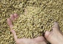Проверка, проведенная Россельхознадзором по итогам минувшего года, показала, что на отечественном рынке зерновых более 15% продукции является некачественной