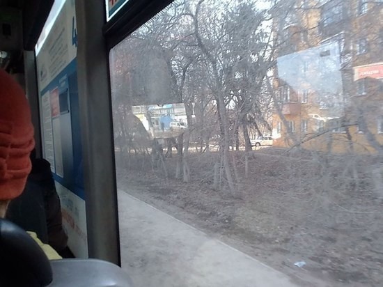 В дни сильных морозов на омские улицы вышло на 6% меньше общественного транспорта