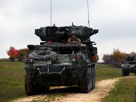 Чижов назвал слабые места бронемашин Stryker, которые США может отправить Украине