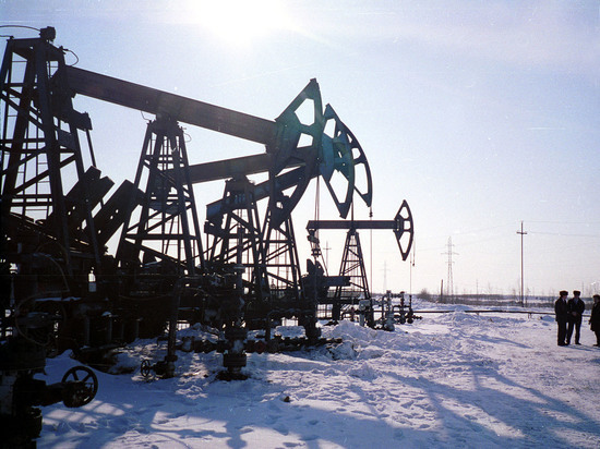 Западные санкции обрушили цены на российскую нефть: ждать ли коллапса