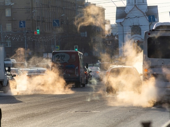 В Новосибирске назвали самые холодные и теплые дни января за 65 лет