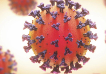 На протяжении более чем трех лет пандемии весь мир наблюдает за постепенным изменением коронавируса