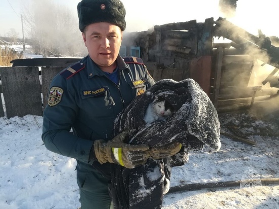 Пожарный спас котика из горящего дома на Новый год в Красноярском крае