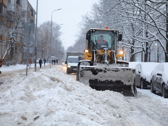 Как в Новгородской области боролись с мусором и снегом в новогодние праздники