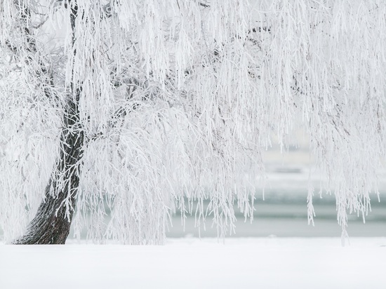 В Курской области в ночь на 11 января похолодает до 17 градусов мороза