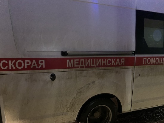 В Липецкой области два пешехода попали под колёса КамАЗа: один из пострадавших погиб