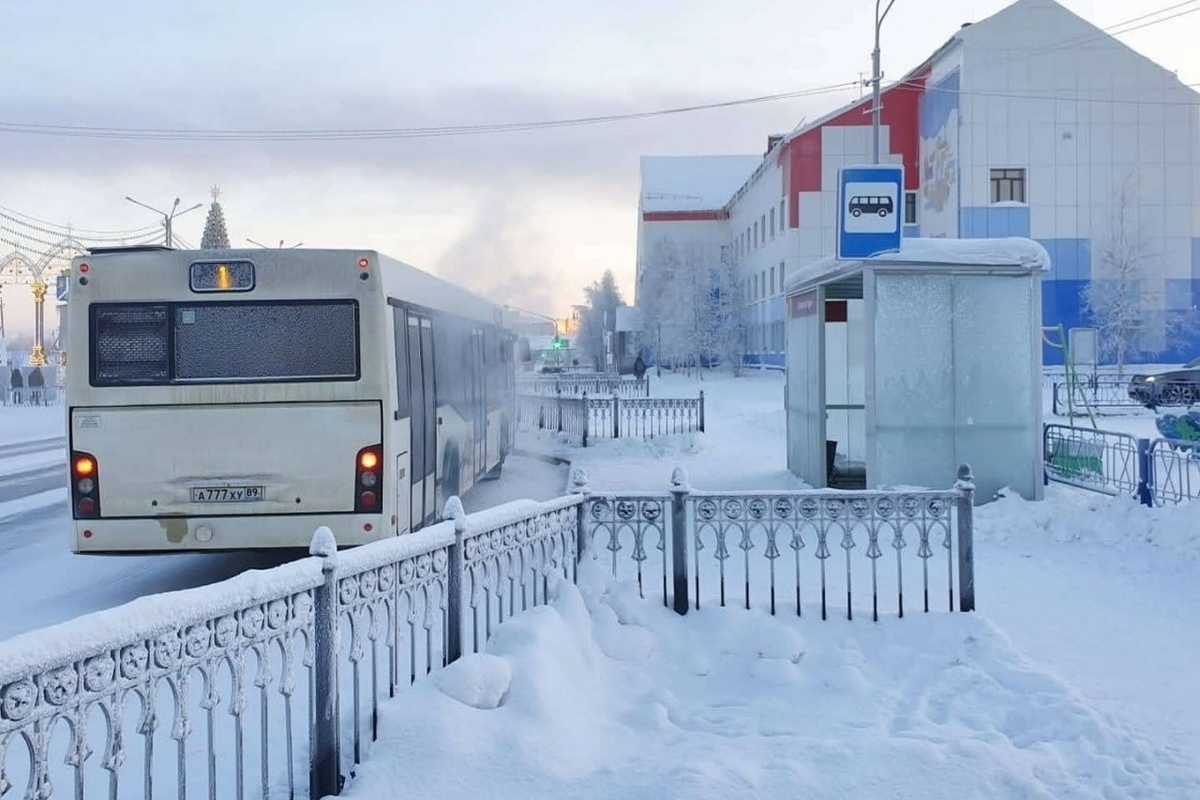 Автобус пуровск тарко. Автобус Тарко-Сале Пуровск. Автобус Тарко-Сале Пуровск 2023. Департамент транспорта связи и систем жизнеобеспечения Тарко Сале. Тарко Сале каток.