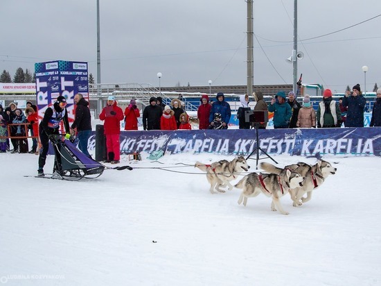 В Петрозаводске состоятся традиционные соревнования по ездовому спорту SkiFest DOG