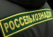 Одной из ключевых функций Управления Россельхознадзора по Костромской области является обеспечение эпизоотического благополучия по особо опасным заболеваниям, в том числе общим для человека и животных, например, по гриппу птиц