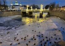 В наступившем году со льда в Петербурге вывели уже 80 человек, сообщили в МЧС