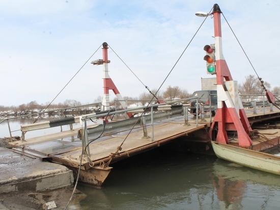 Мост на Дону между Гремячье и Шилово открыли в Воронежской области