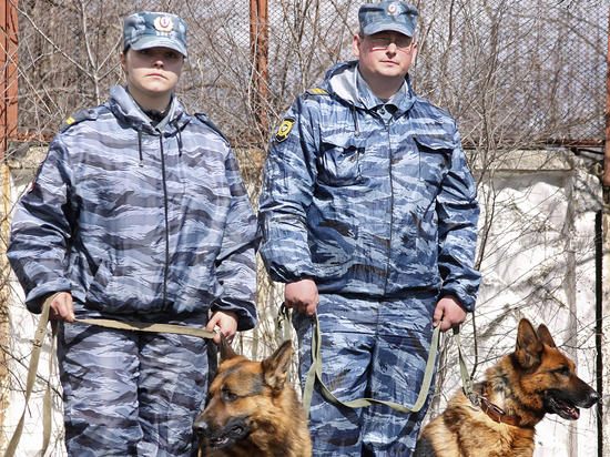 Около 11 тыс человек эвакуировали после сообщений о минировании в Мособласти за сутки