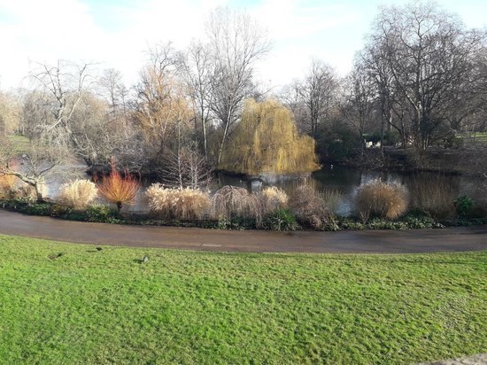 В Люберцах благоустроят парк «Лесная опушка»