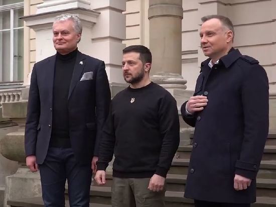 Польские пользователи возмутились встречей Дуды и Зеленского во Львове