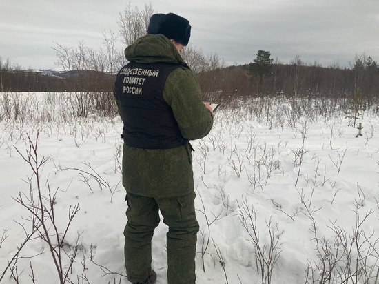 Тело мужчины из Североморска обнаружили в Кольском районе