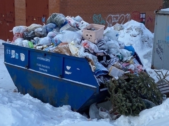 В Новосибирске жители жалуются на заваленные мусором дворы