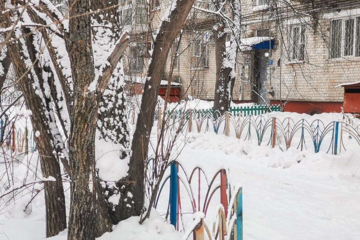 Лучшие зимние дворы, елки и горки выбрали в Хабаровске - МК Хабаровск