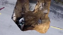 В США машина с пассажирами рухнула в гигантскую яму: видео аварии