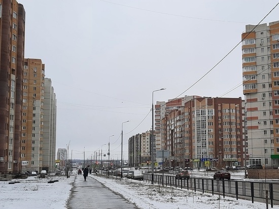 Тамбовстат проведёт выборочное статистическое наблюдение в областном центре