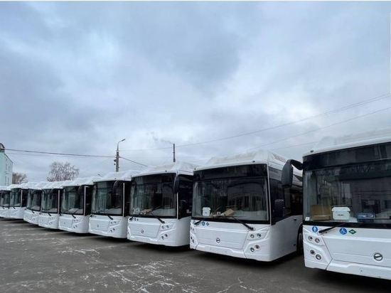 В Орле в ТТП пропали 9 автобусов за 72 миллиона рублей