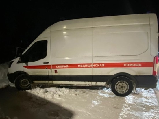 В Мурманской области мужчина с собакой угнал машину «скорой» и устроил аварию