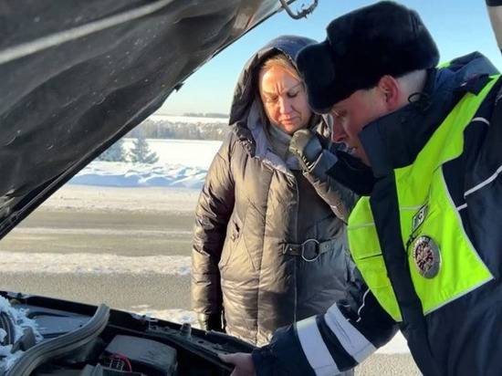 Замерзшую женщину в заглохшем авто спас патруль ДПС под деревней Якшур