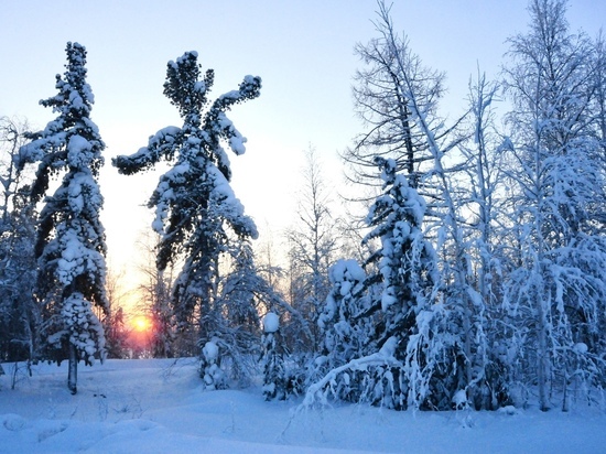 Зимник Коротчаево — Красноселькуп временно открывают для проезда