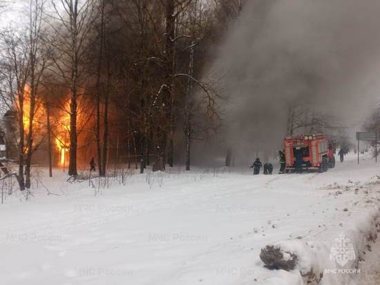 Шесть квартир полностью уничтожено в результате пожара в Боровичах