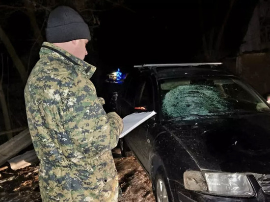 Тамбовчанину, который насмерть сбил школьницу, предъявили обвинение