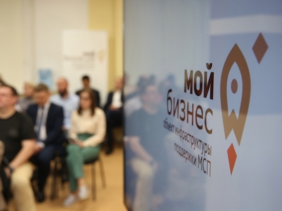 В Курской области в 2023 году на поддержку малого и среднего бизнеса направят 200 млн рублей
