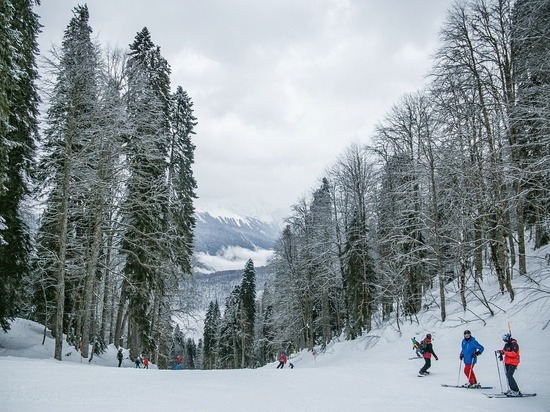 «Лекарство», убивающее рак: алтайский врач рассказала о чудодейственной пользе лыж