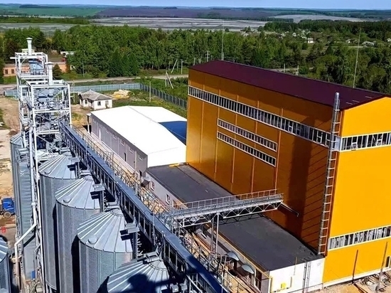 В Орловской области запустят новую мельницу за 350 миллионов