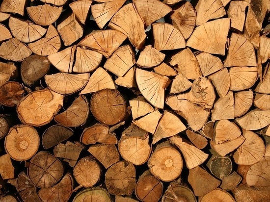 В Красноярском крае утверждено обвинительное заключение по делу о незаконной вырубке леса на 106 млн рублей