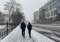 В Петербурге продолжает резко теплеть, в пятницу в город придут мокрый снег и даже дожди, рассказали синоптики.