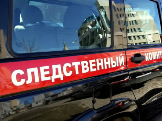 На жительницу Южно-Сахалинска завели уголовное дело за ложный донос о преступлении