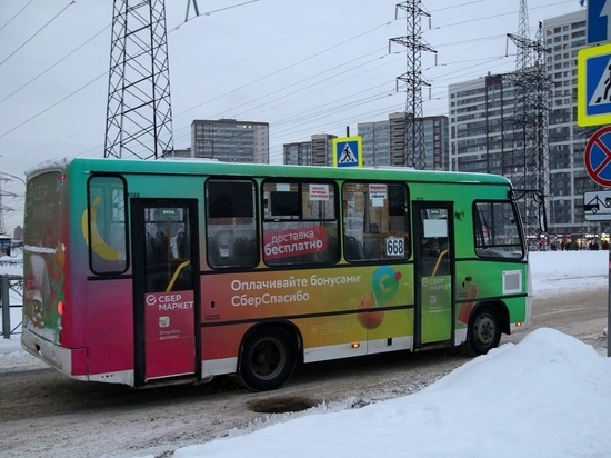 В Красноярске ребенка высадили из автобуса на мороз